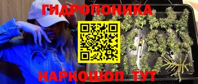стаф Малгобек