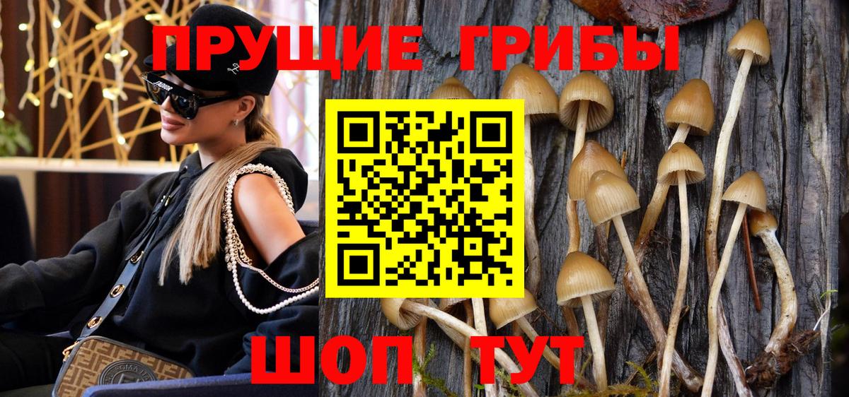 Псилоцибиновые грибы Magic Shrooms Среднеуральск